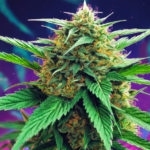 What Are Hybrid Weed Strains? The Ultimate Vibe Mashup!