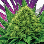 Weed Wonders: The Spectrum of Strains